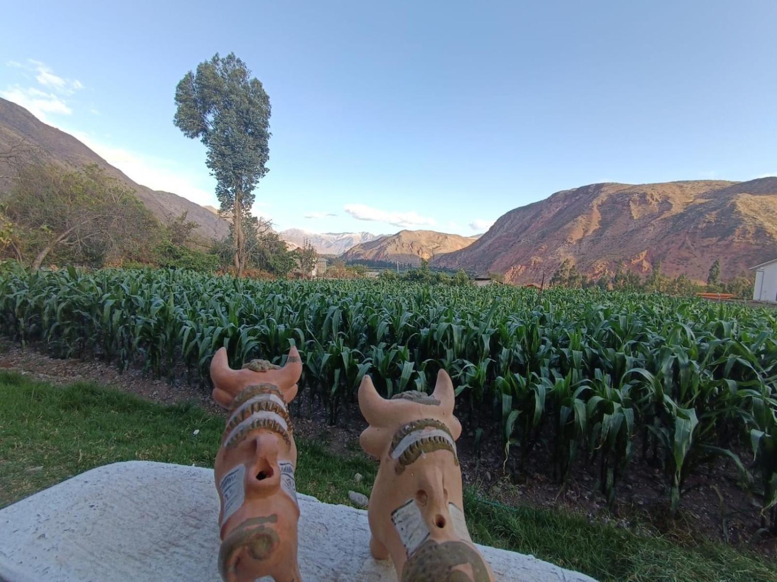 Casa Yanahuara Valle Sagrado - ウルバンバ エクステリア 写真
